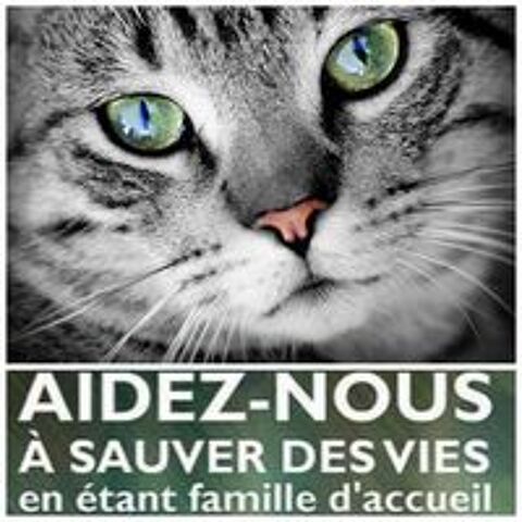   URGENCE - RECHERCHE DE FAMILLES D'ACCUEIL Nous recherchons de TOUTE URGENCE plusieurs Familles d'Accueil en rgion parisienne sud.  