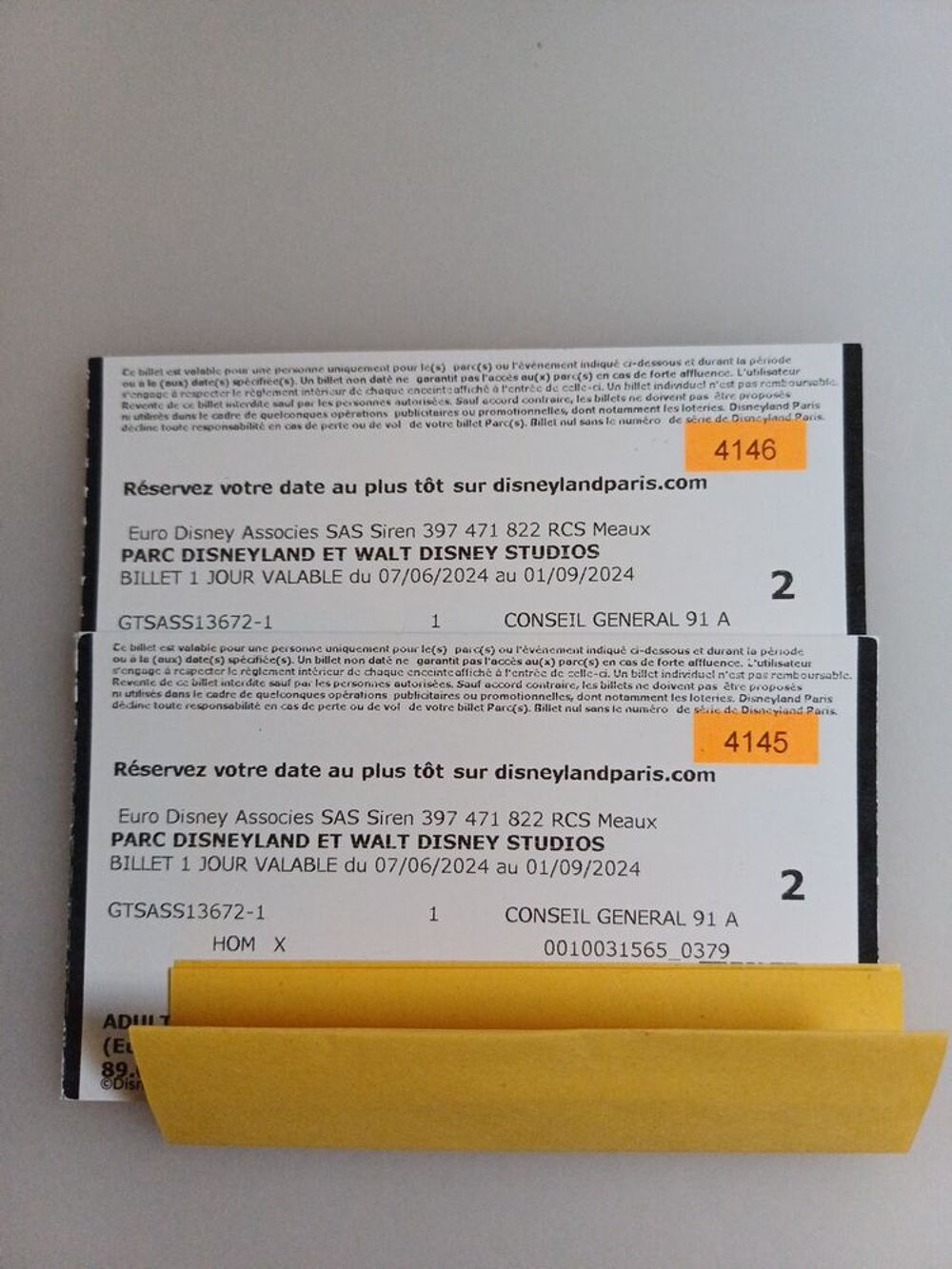 Billets adulte Disneyland Paris 1 jour/2 parcs Billetterie