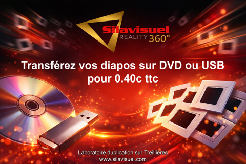 Scan diapositives 0 Treilli�res (44)