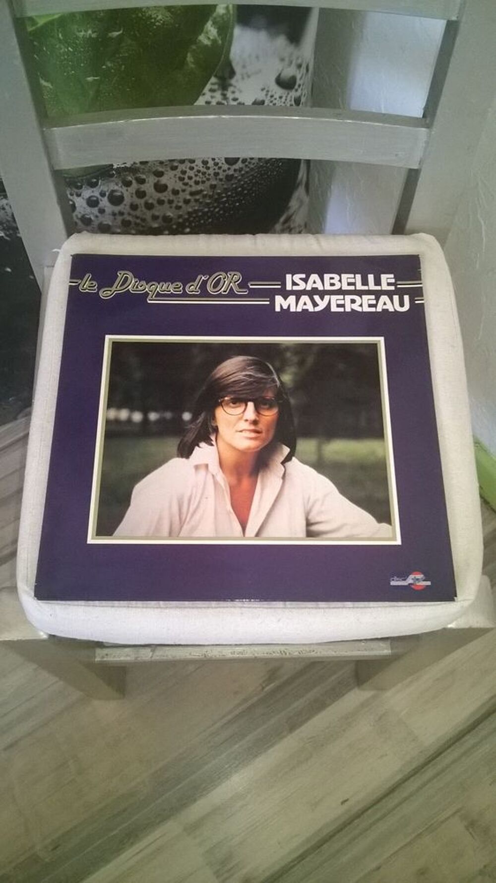 Vinyle Isabelle Mayereau
Le Disque D'Or
1981
Excellent et CD et vinyles