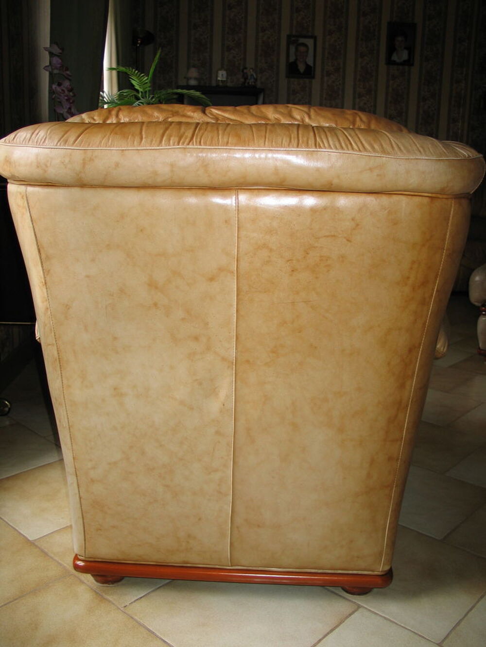 Fauteuils cuir haut de gamme pour salon. Meubles