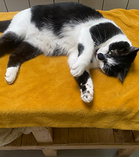 Milouh 200 26700 Pierrelatte