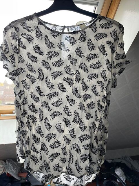 Top blanc et foug�re 10 Villiers-sur-Marne (94)