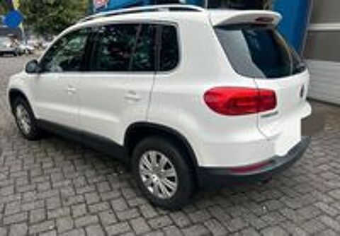 Tiguan 2014 occasion 20260 Calvi