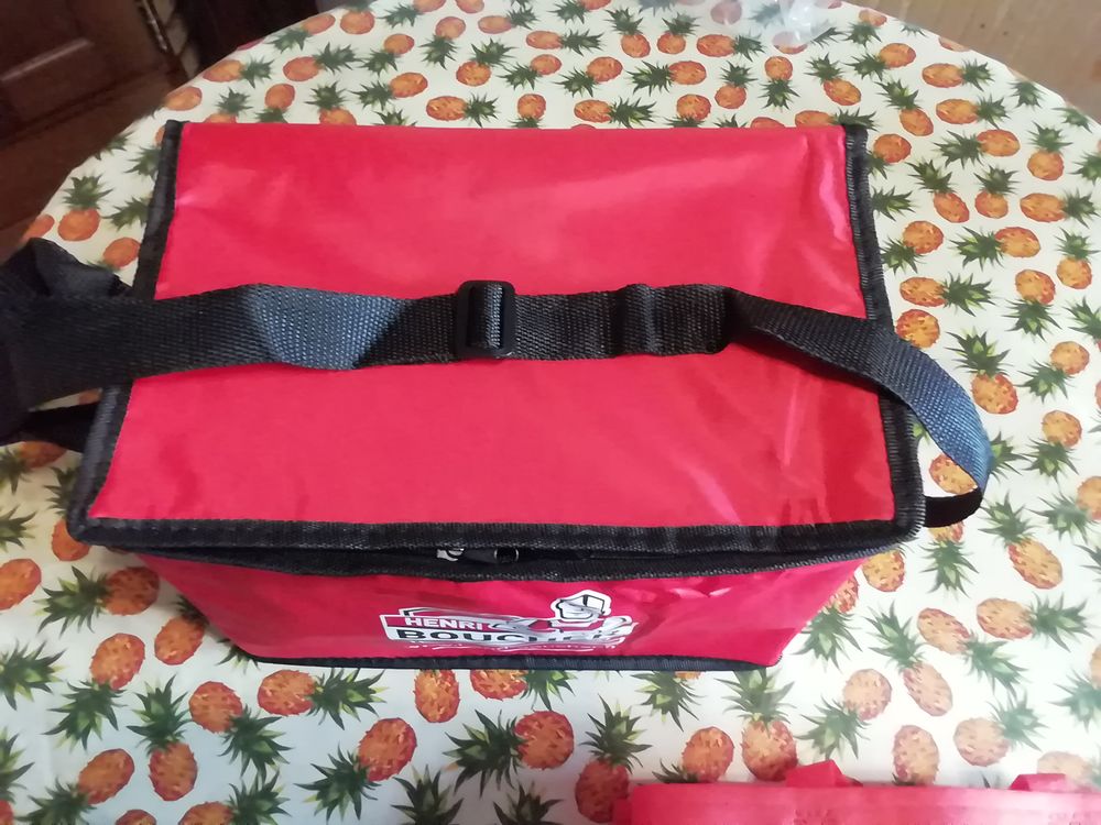 Lot neuf frigo box +1 pack gel + 1sac. Cuisine