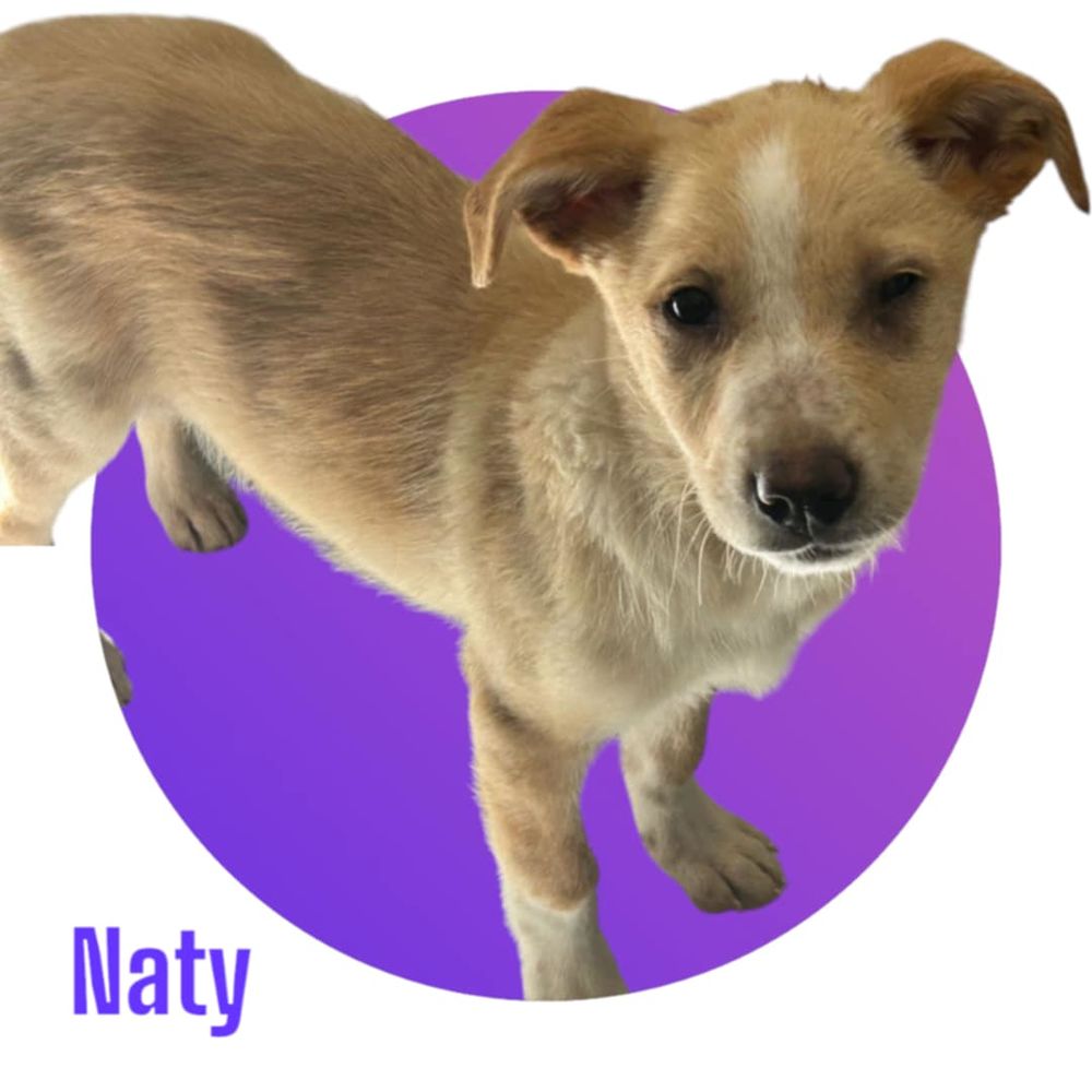   NATY : ils ont massacré toute ma famille ! 😭 