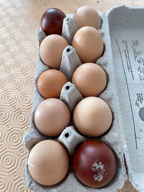 oeufs frais 350 85270 Saint-hilaire-de-riez