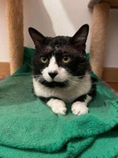   O'Malley 