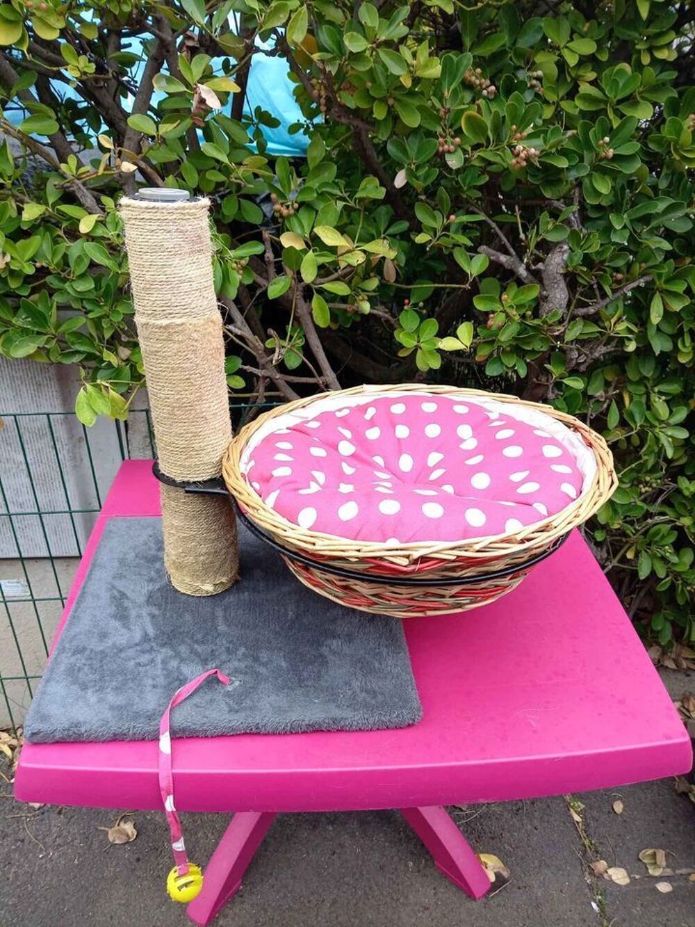   adorable arbre à chat avec panier en osier et jouets 