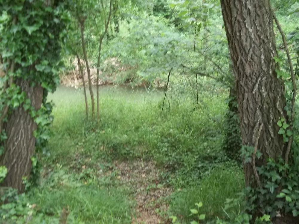 Location Terrain Terrain de loisir ou jardin potager en bordure rivière Béziers