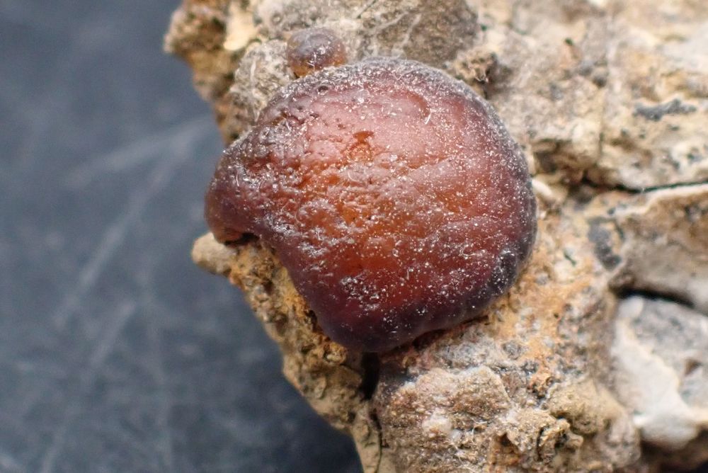 Lussatite orange (Opale-CT) sur gangue de P&eacute;p&eacute;rite , Puy de 