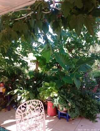  Villa � vendre 5 pi�ces 120 m�