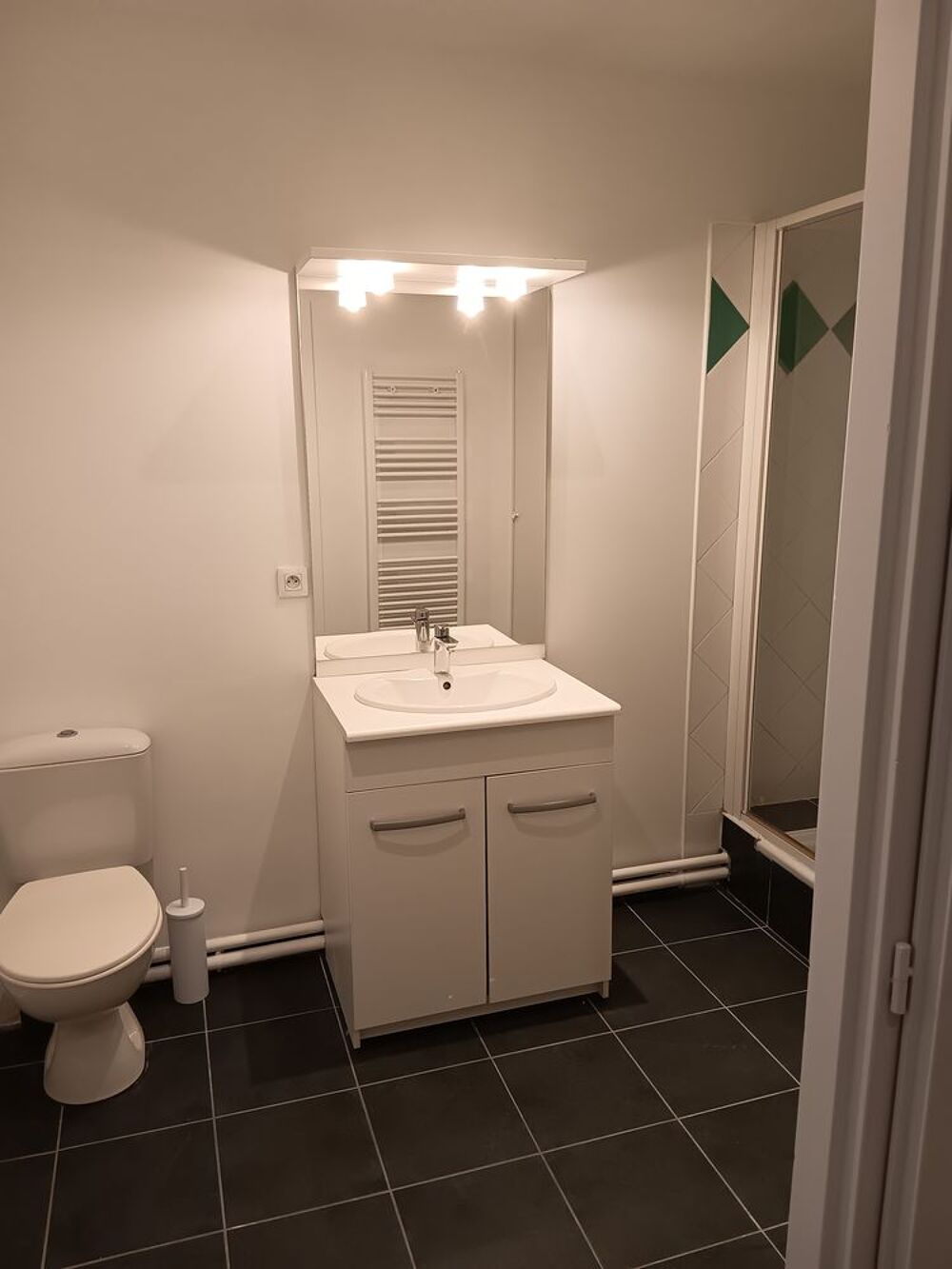Location Appartement Magnifique T2 meublé hypercentre Chambéry Annecy
