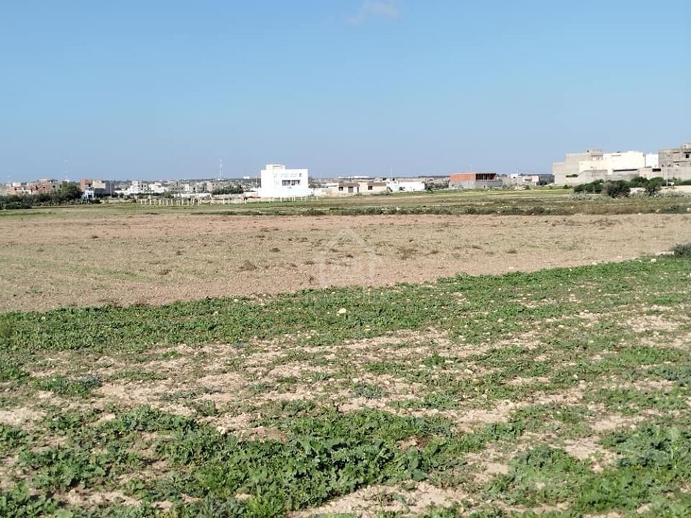 Vente Terrain Un terrain de 669 m² à Maamoura 51355351 Al-mamurah, tunisia (Tunisie)