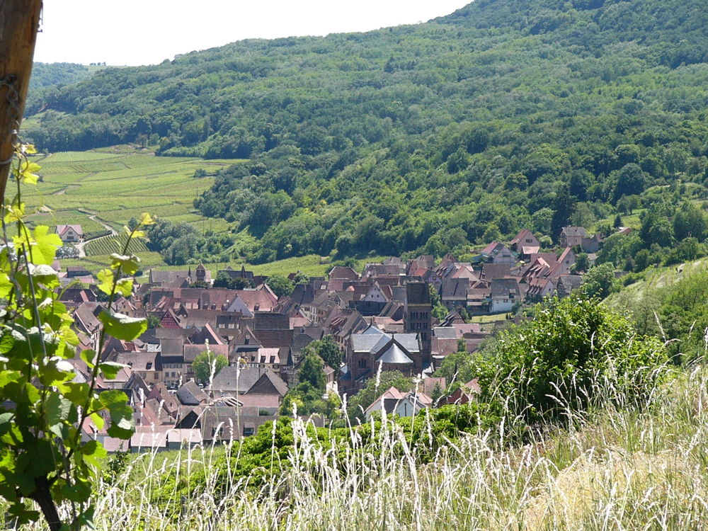   Gte en Alsace prs de Colmar, Eguisheim, Kaysersberg  Alsace, Gueberschwihr (68420)