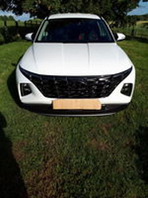 Tucson 1.6 CRDi 136 Hybrid 48V iBVM Creative 2022 occasion 19230 Arnac-Pompadour