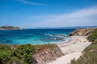 Location  Appartement 