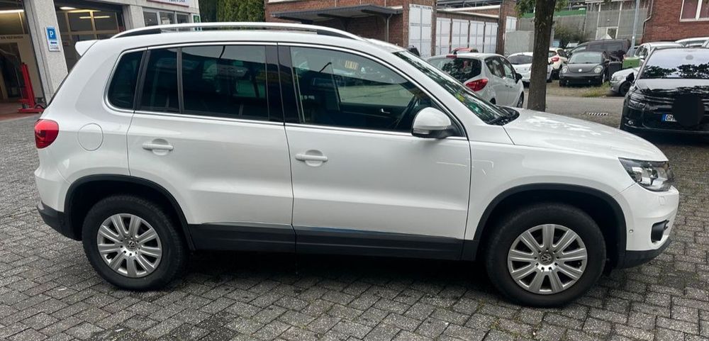 Tiguan 2014 occasion 20260 Calvi