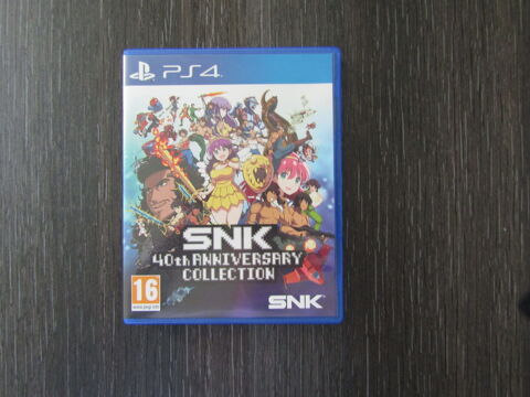 SNK 40 th anniversary collection. 10 Roanne (42)