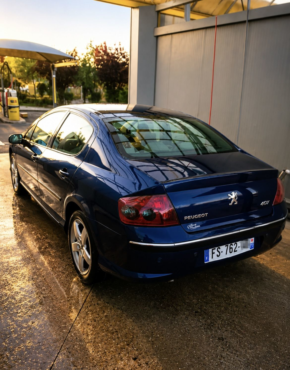 407 2.2e 16v Ex&eacute;cutive Pack 2005 occasion 77000 Melun