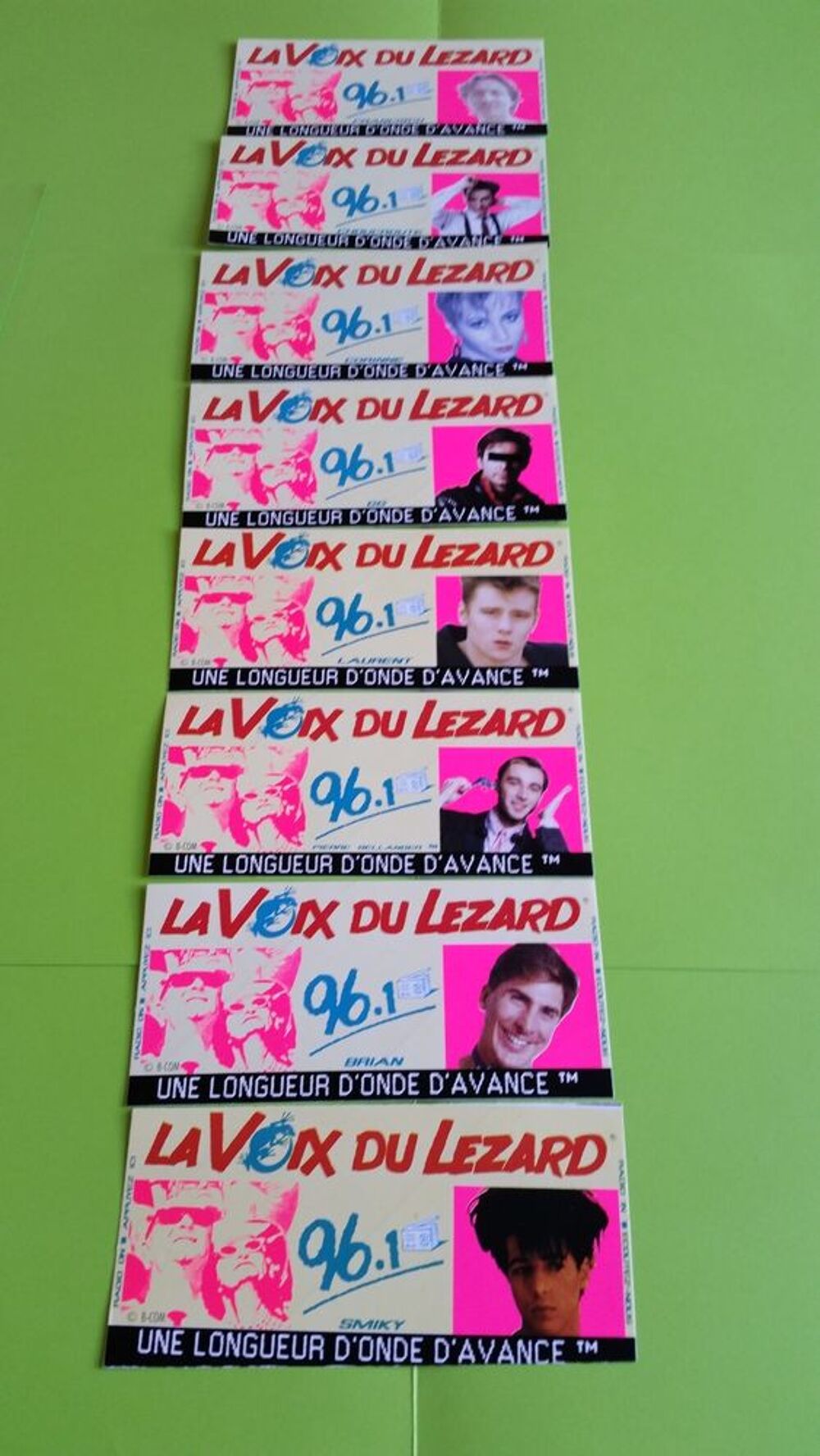 LA VOIX DU L&Eacute;ZARD 