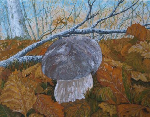 Peinture tableau de champignon ( c�pe ) 100 Verneuil-sur-Vienne (87)