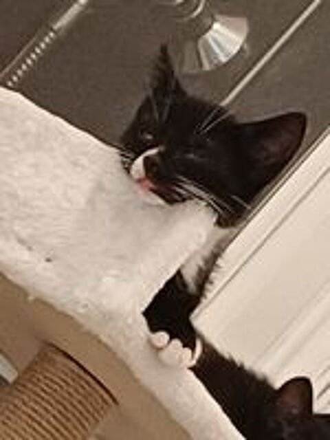   BINX 