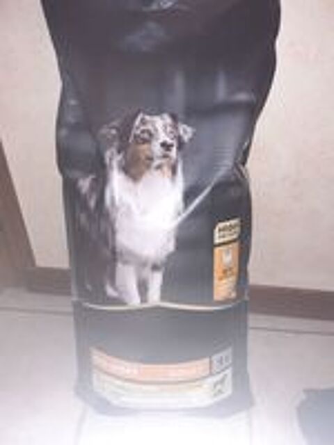   Aliments pour chien  
