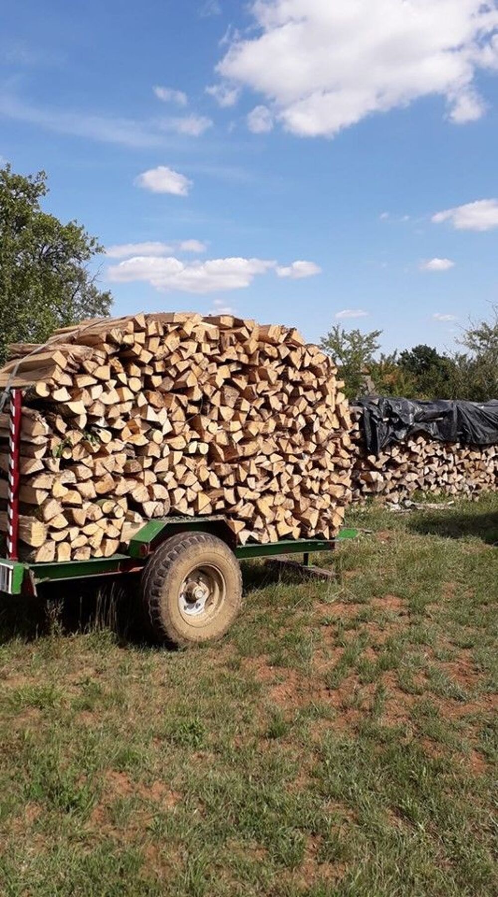 Achat / de bois de chauffage Jardin