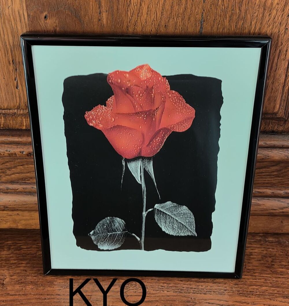 Cadre tableau fleur Rose rouge - noir blanc - 25,5 x 20,5 cm Décoration