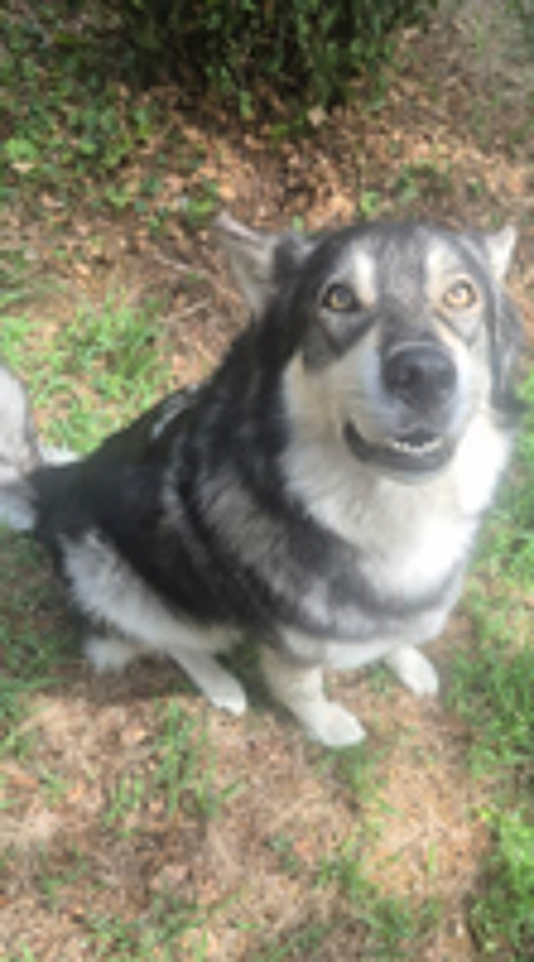   Je recherche une nouvelle famille pour Naga 