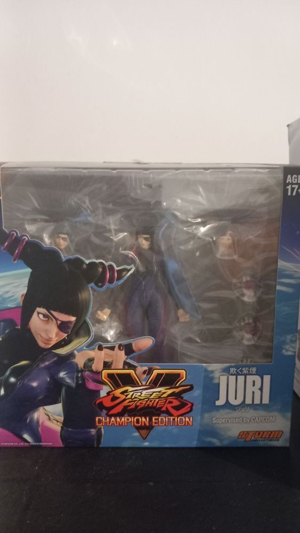 Figurines street fighter Jeux / jouets