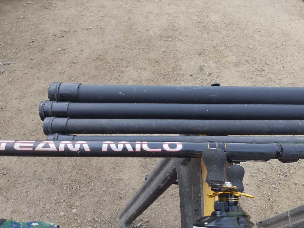lot de canne t&eacute;lescopique sensas mont&eacute;es avec &eacute;lastique 1 de7m 1de5m 1de 4m 1 de 3m 1 canne Milo plus lance Sports