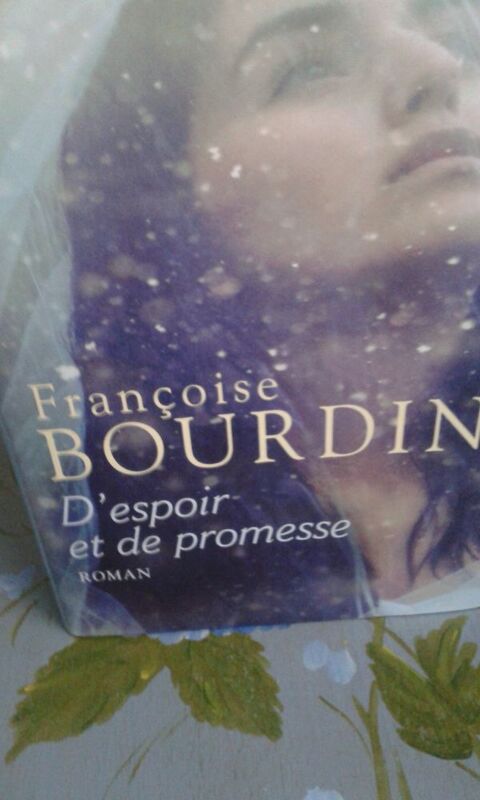 Roman de Franoise Bourdin  D'espoir et de promesse  en tbe 2 Pluguffan (29)
