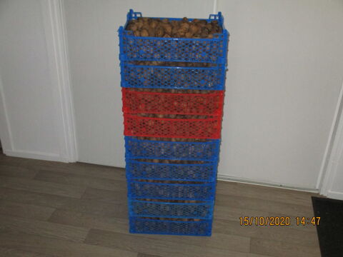 noix fra�ches 3 Malz�ville (54)