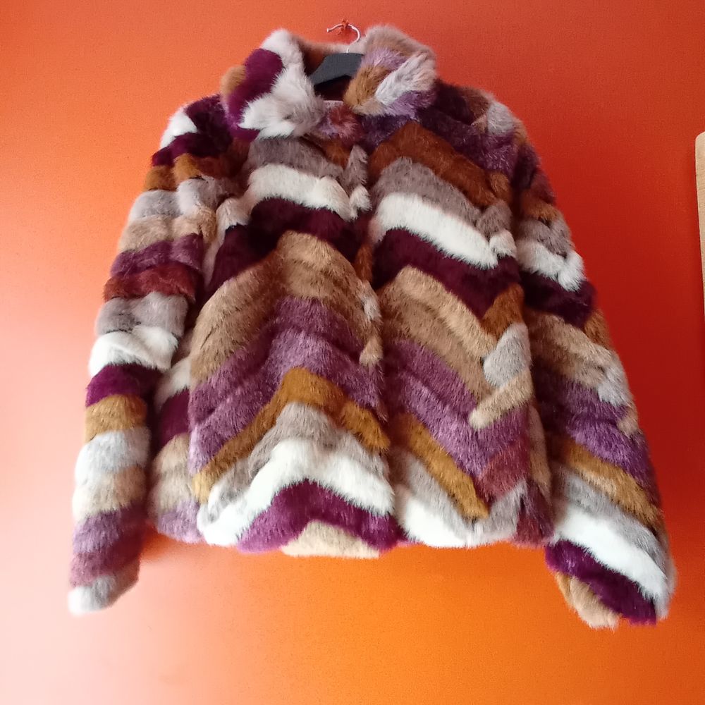 Veste fausse fourrure de plusieurs couleurs 
Marque mango 
Vêtements