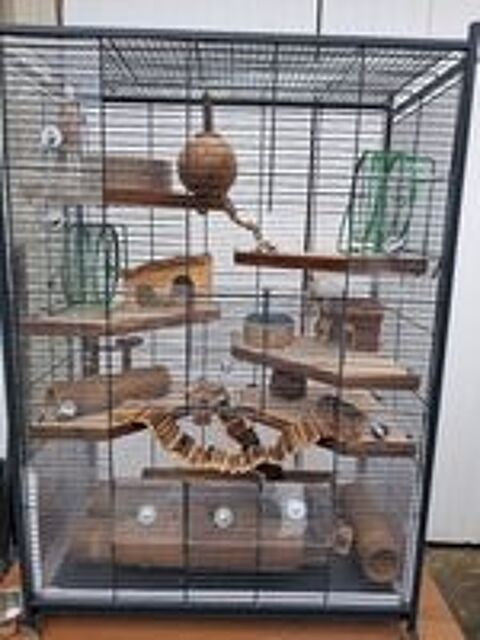   Cage pour gerbilles 