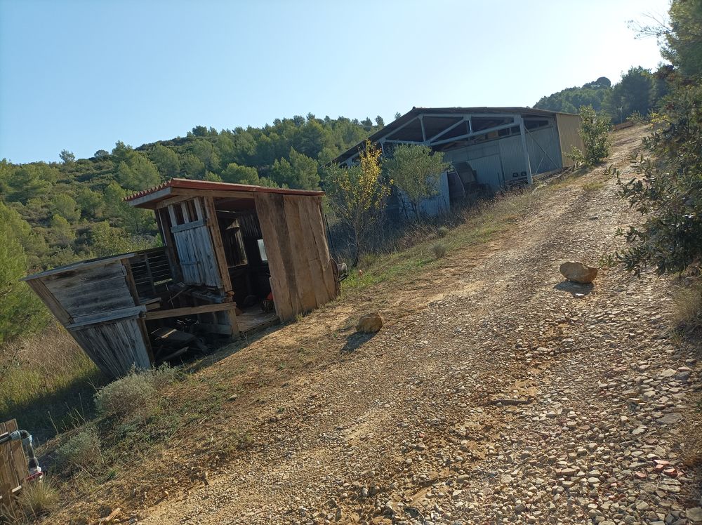 Vente Terrain Poulailler 83m2 + Batiment stockage 83m2 - Forage. 2,6 ha Saint-pargoire