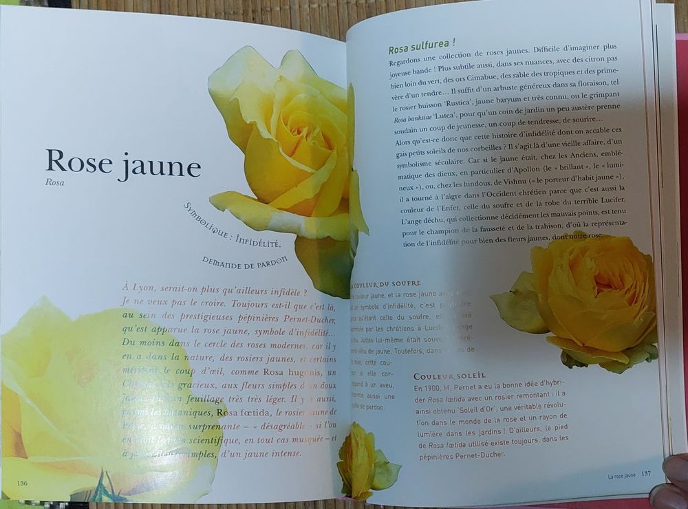 Livre le Langage des fleurs Livres et BD