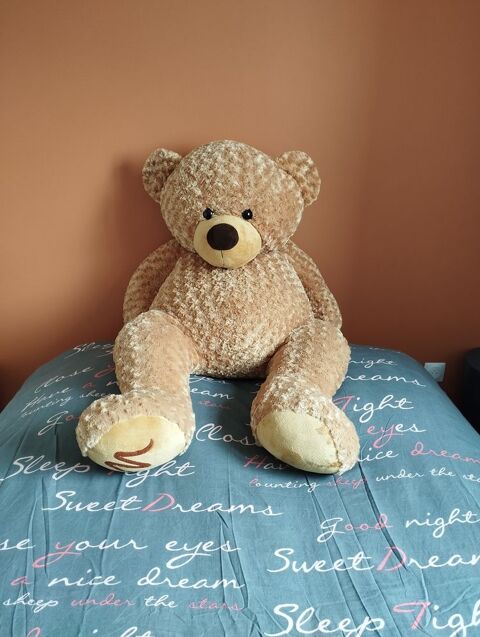 Beau gros nounours 15 Champlay (89)