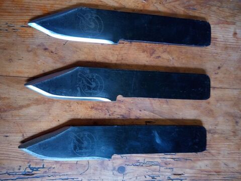 Couteau 60 La Roche-Maurice (29)