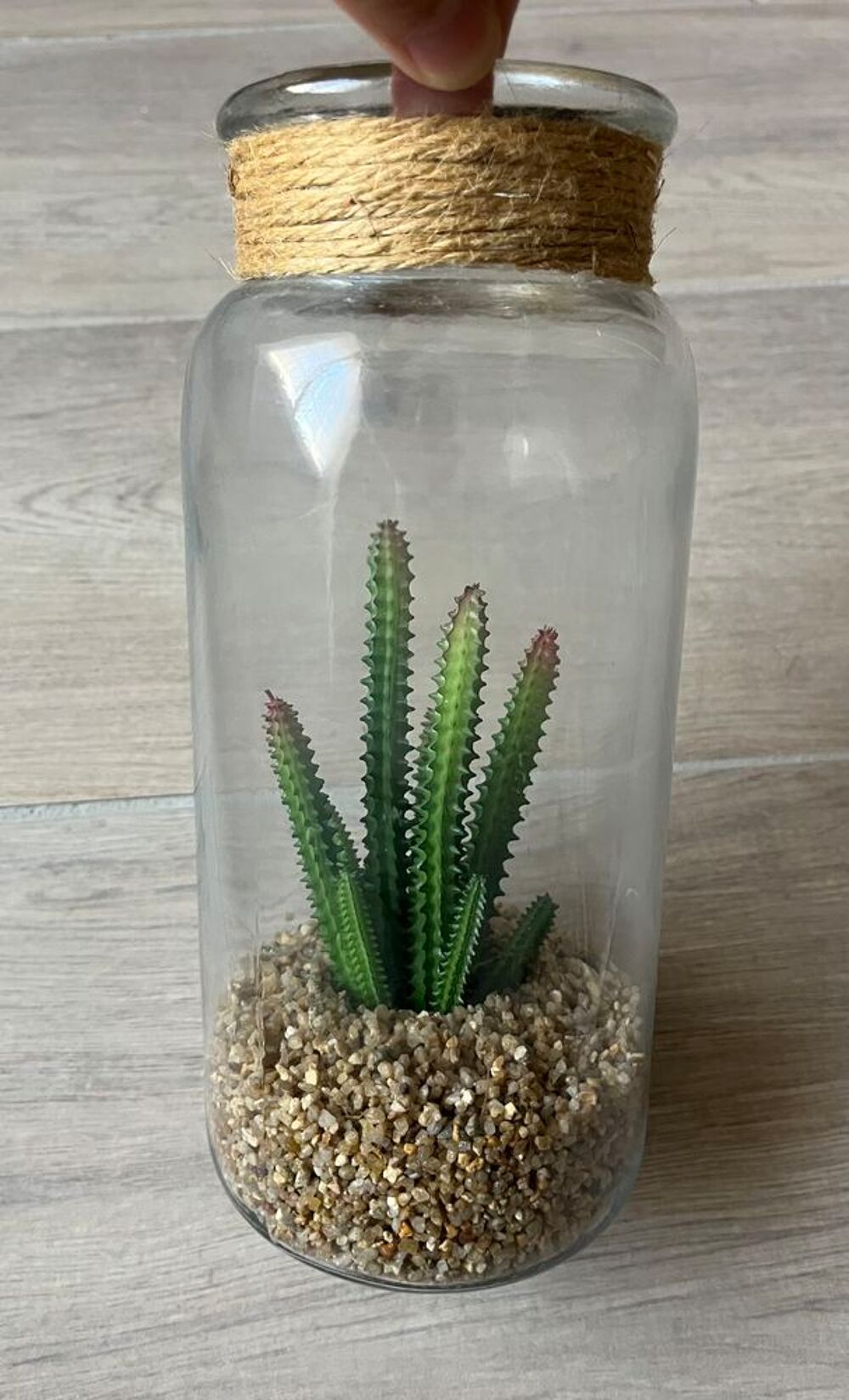 Plante artificielle dans son bocal Décoration
