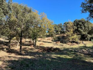  Terrain � vendre 2000 m�