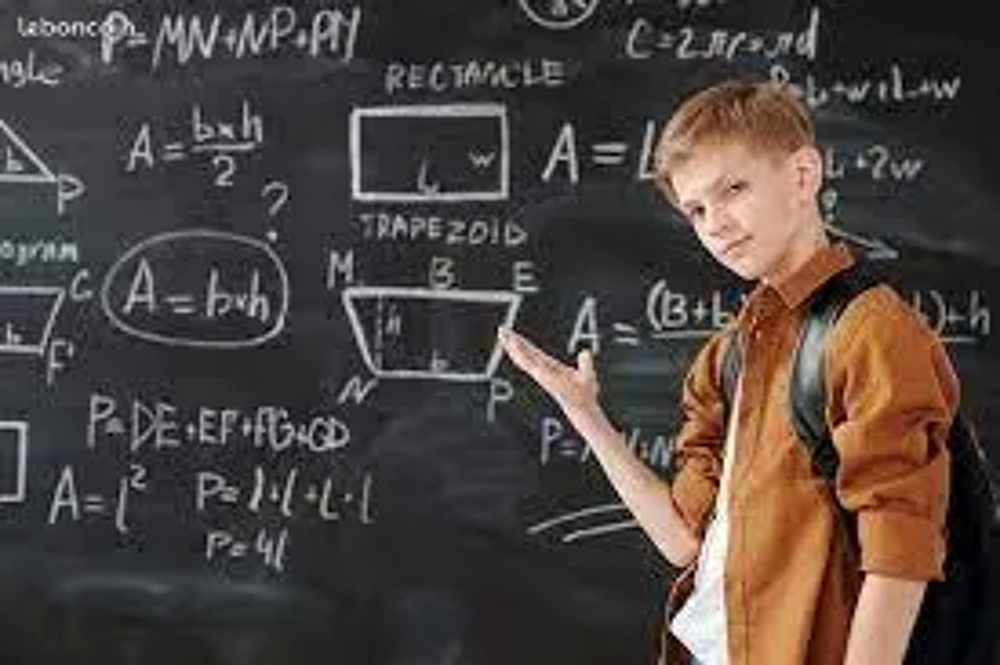   Mathématiques, Physique, Chimie, Mécanique, Electronique 