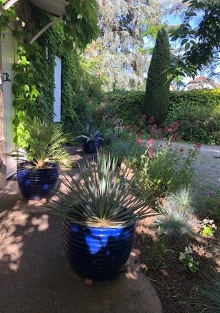  Maison � louer 2 pi�ces 63 m� Lyon