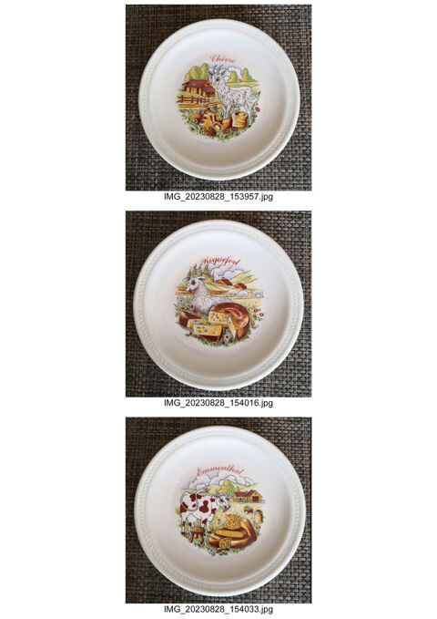 assiettes  fromage porcelaine Limoges RENAUD CLERMONT 18 Tournefeuille (31)