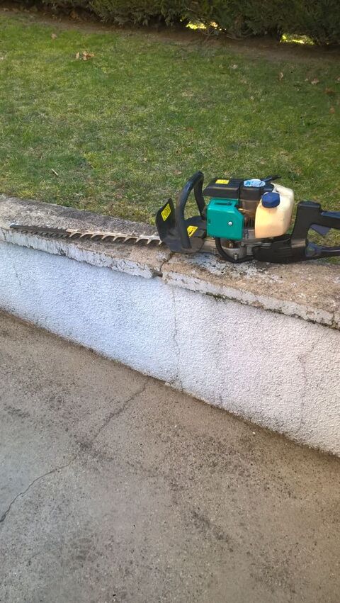 TAILLE HAIE THERMIQUE COUPE 60CM 50 Ydes (15)