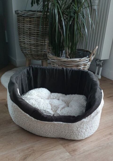 panier chien 25 59800 Lille
