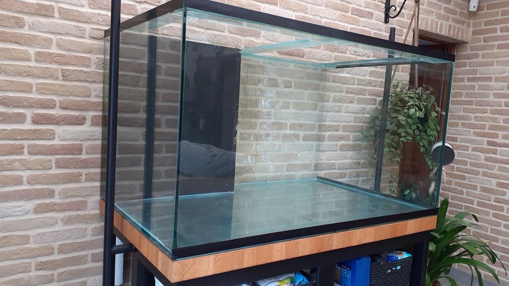 AQUARIUM 'CUVE SEULE' Décoration