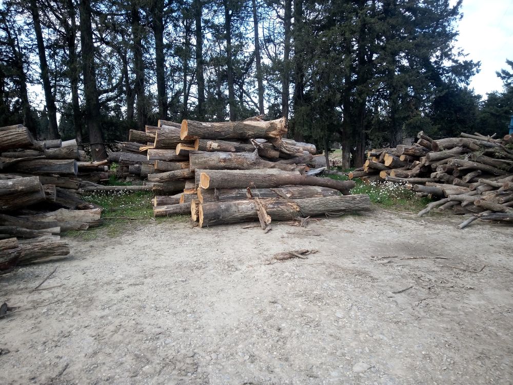 Venez acheter du bois de chauffage sec chez nous . ???? Jardin
